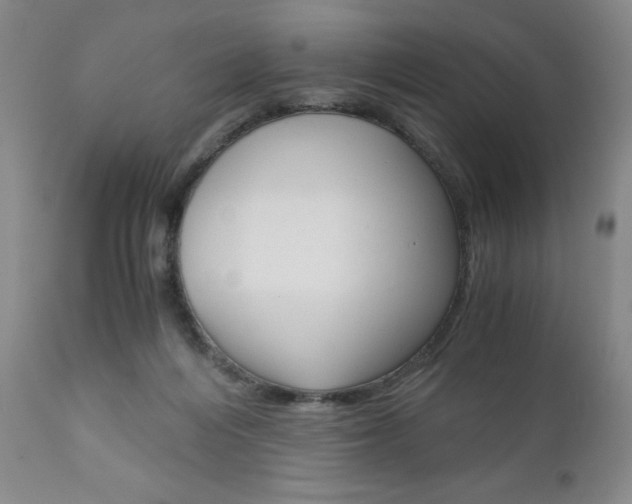 X0000111120216200906301049