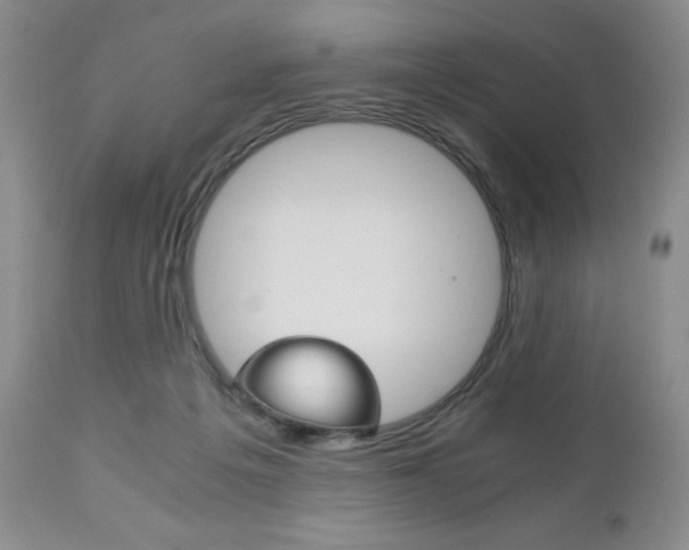X0000111120217200906301049