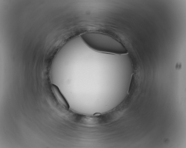 X0000111120221200906301049