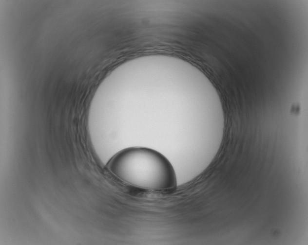 X0000111120223200906301049