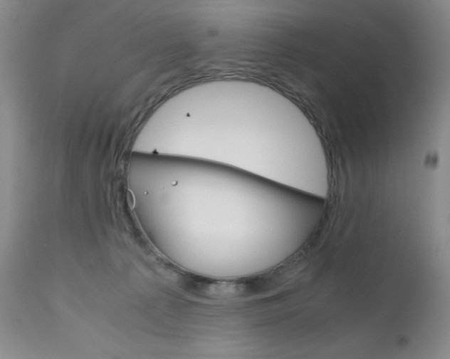 X0000111120225200906301049