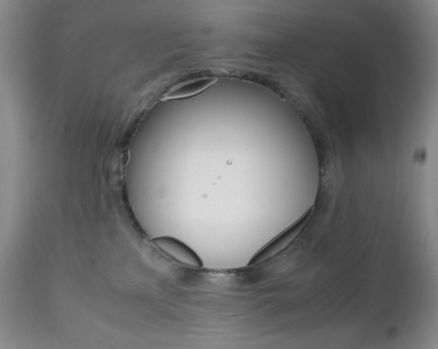 X0000111120233200906301049
