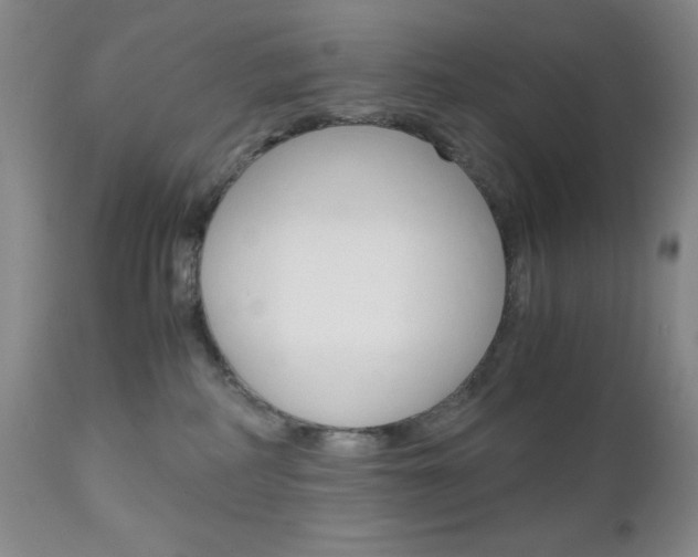 X0000111120234200906301049