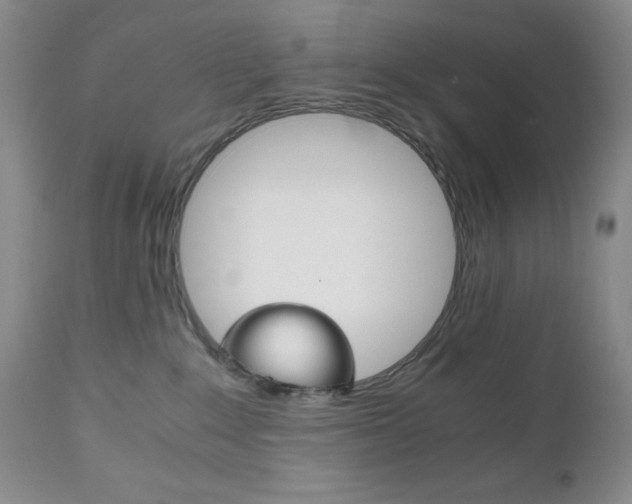 X0000111120235200906301049