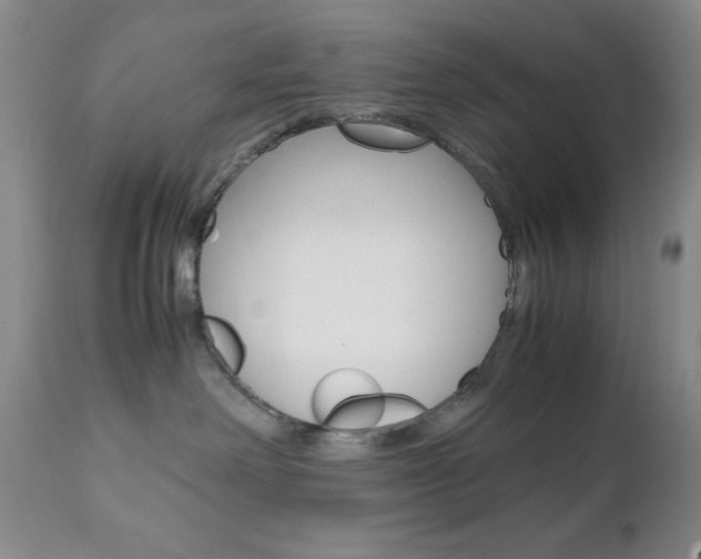 X0000111120238200906301049