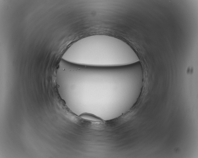 X0000111120240200906301048