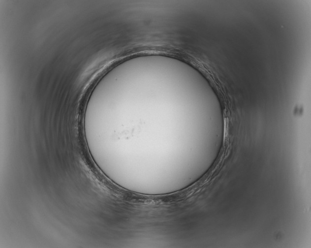 X0000111120243200906301048