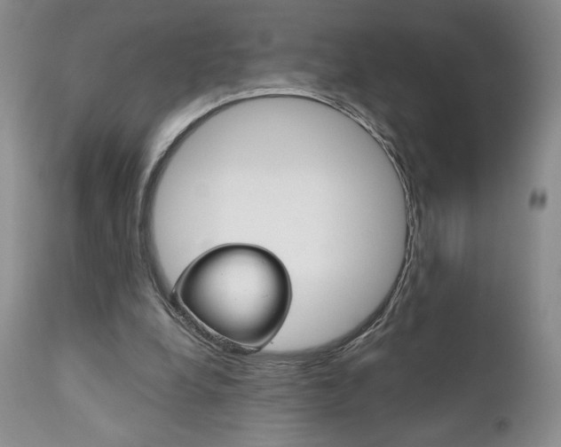 X0000111120248200906301048