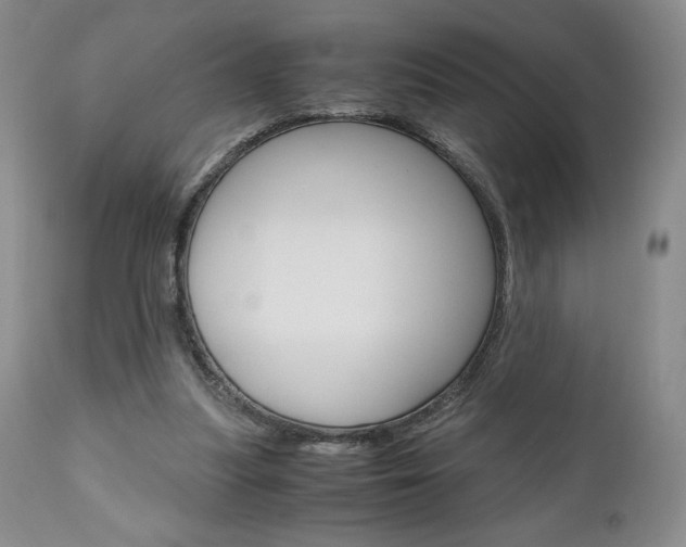 X0000111120251200906301048