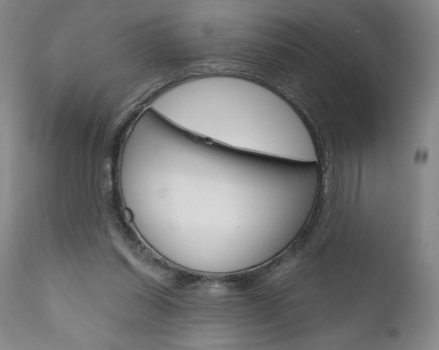 X0000111120254200906301048