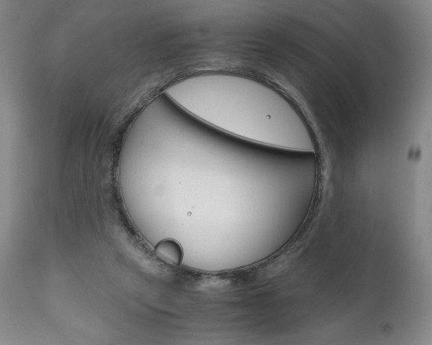 X0000111120257200906301048