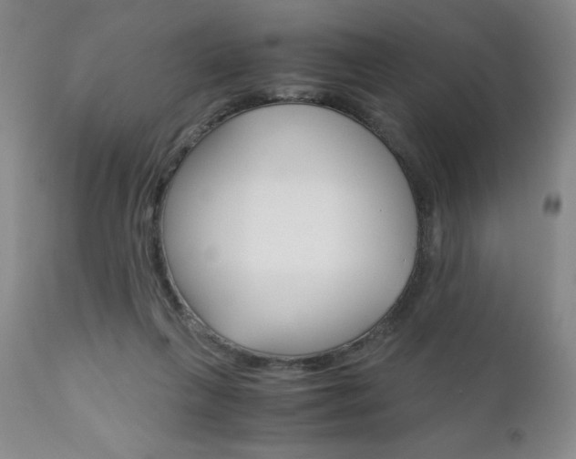 X0000111120263200906301048