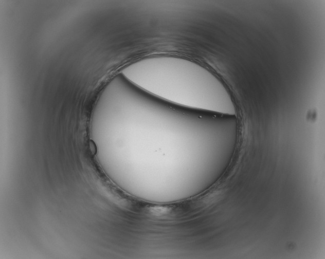 X0000111120265200906301048