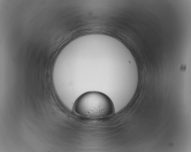 X0000111120268200906301048