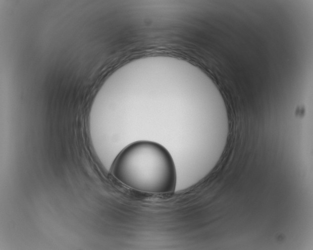 X0000111120272200906301048