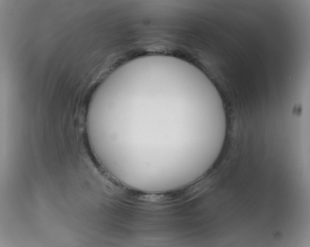 X0000111120273200906301048