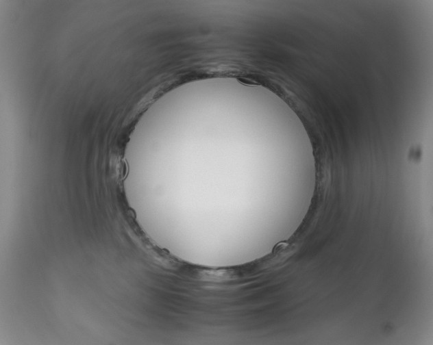 X0000111120281200906301048