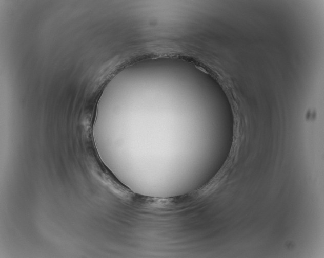 X0000111120288200906301048