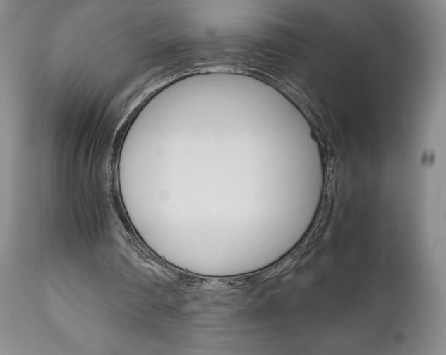X0000111120290200906301048