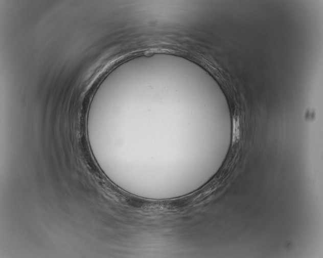 X0000111120291200906301048