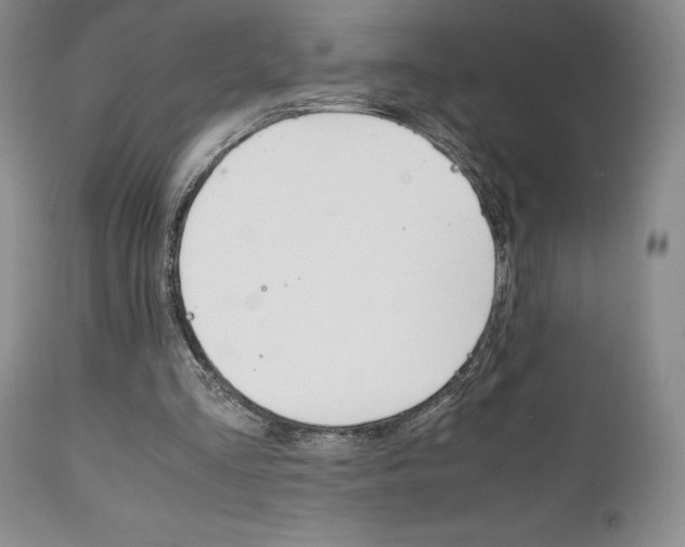X0000111120293200906301048