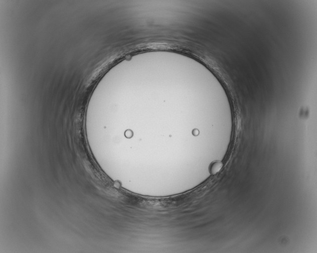 X0000111120297200906301048