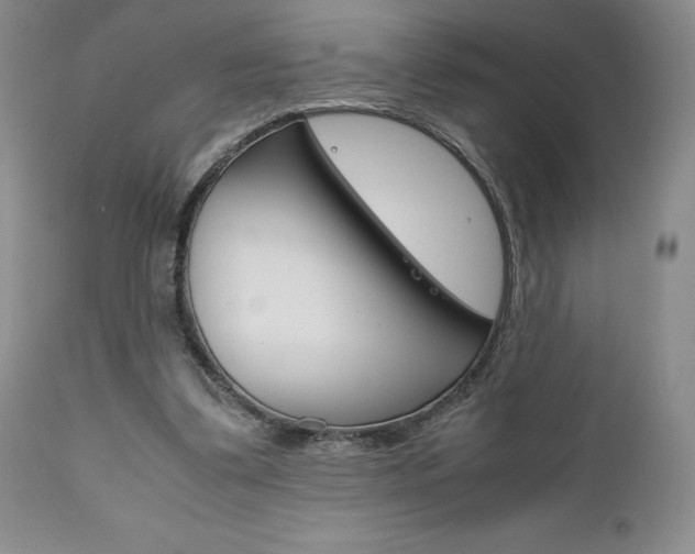 X0000111120299200906301047
