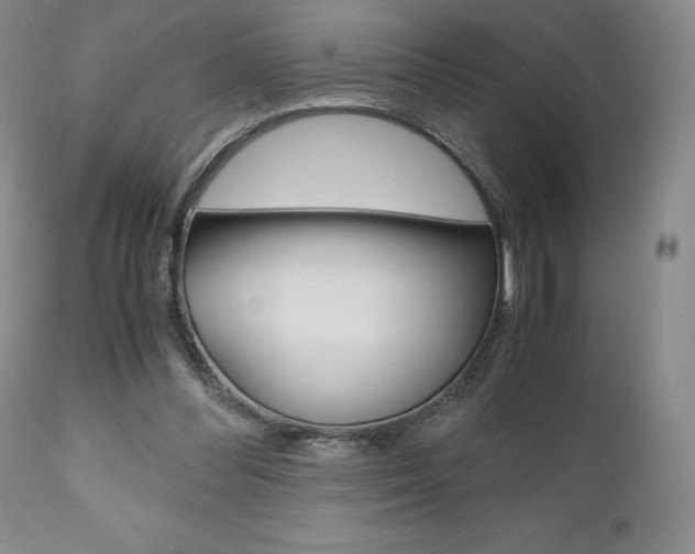X0000111120300200906301047