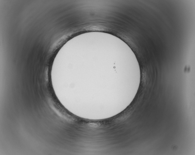 X0000111120302200906301047