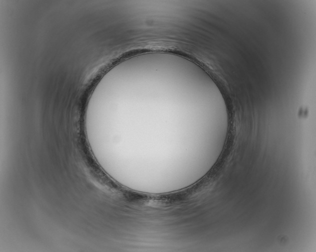 X0000111120303200906301047
