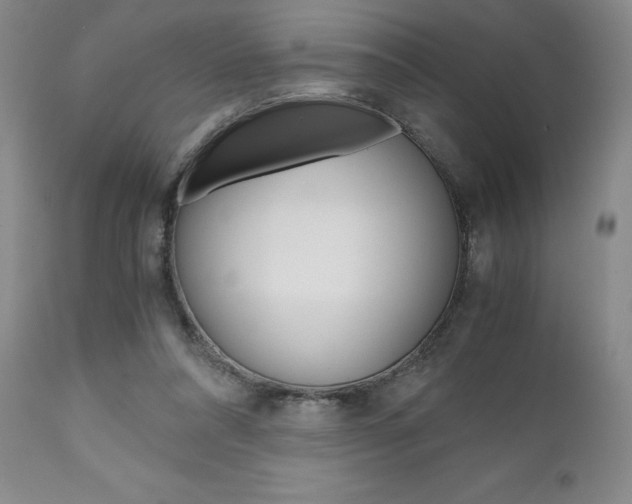 X0000111120304200906301047