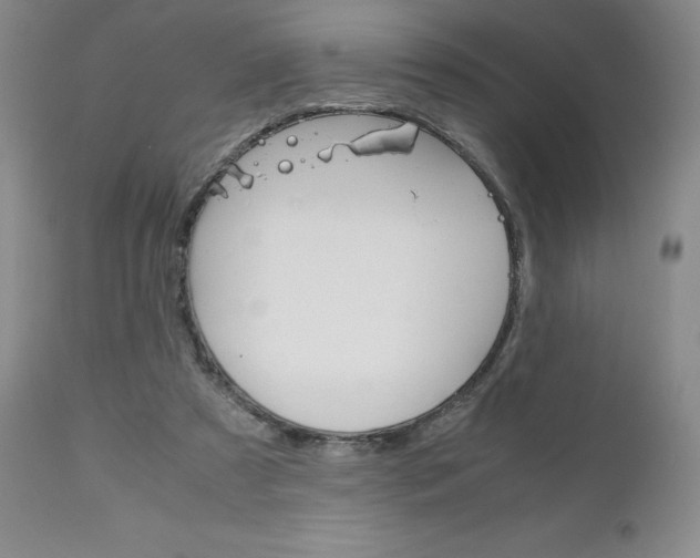 X0000111120305200906301047