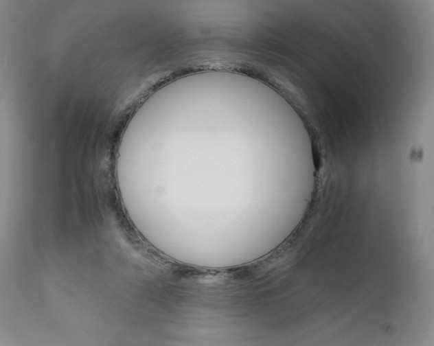 X0000111120306200906301047