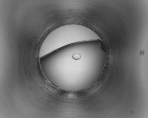 X0000111120308200906301047