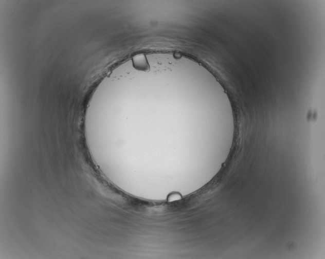 X0000111120309200906301047
