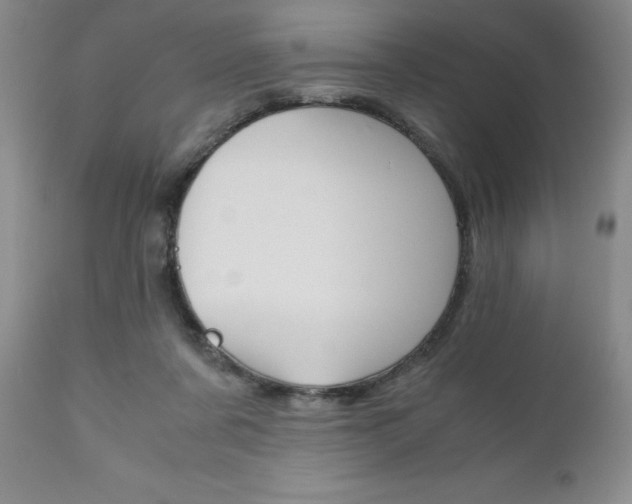 X0000111120311200906301047