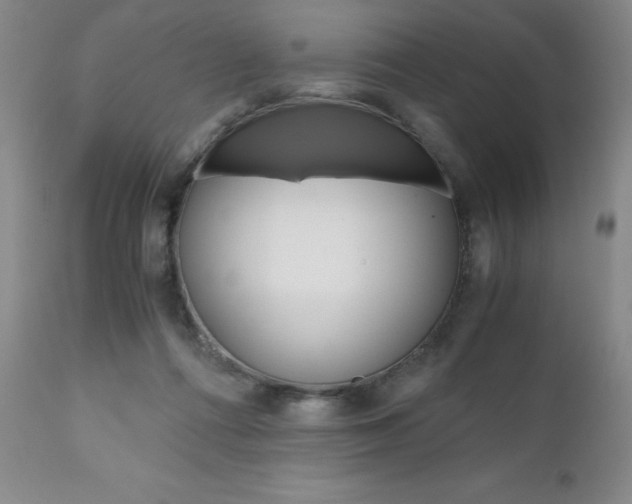 X0000111120312200906301047