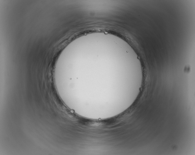 X0000111120313200906301047
