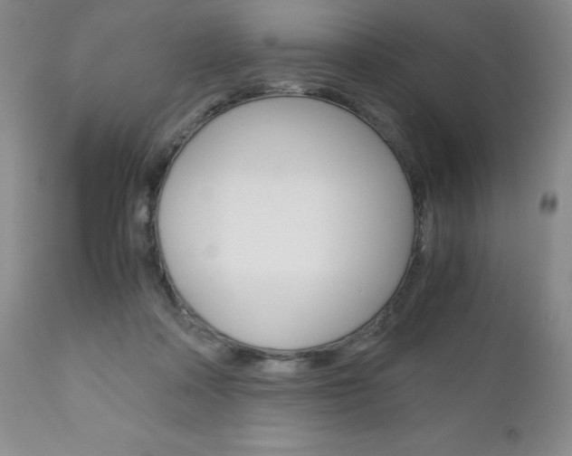X0000111120314200906301047
