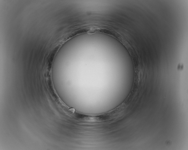 X0000111120316200906301047