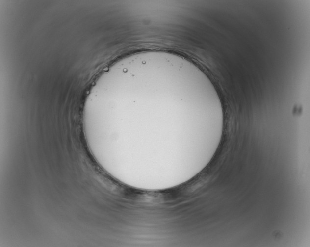 X0000111120317200906301047