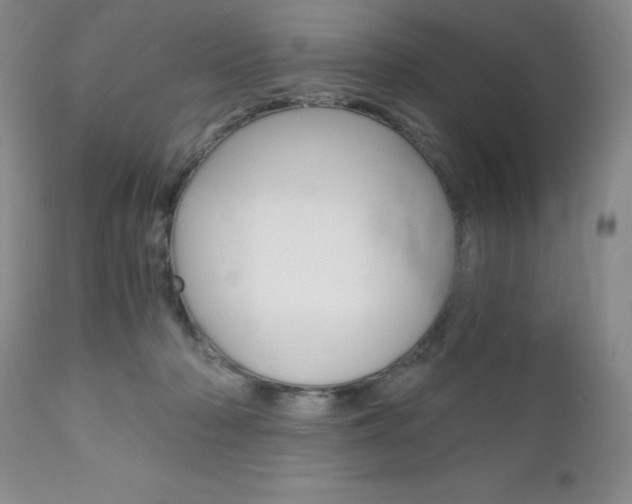 X0000111120318200906301047