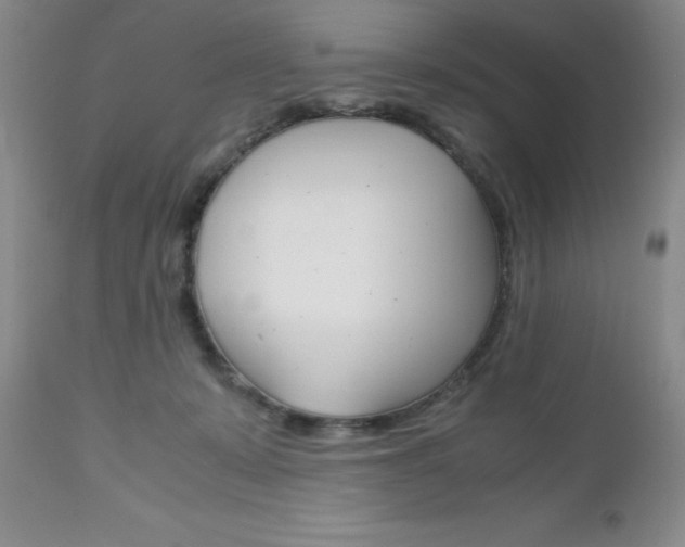 X0000111120319200906301047