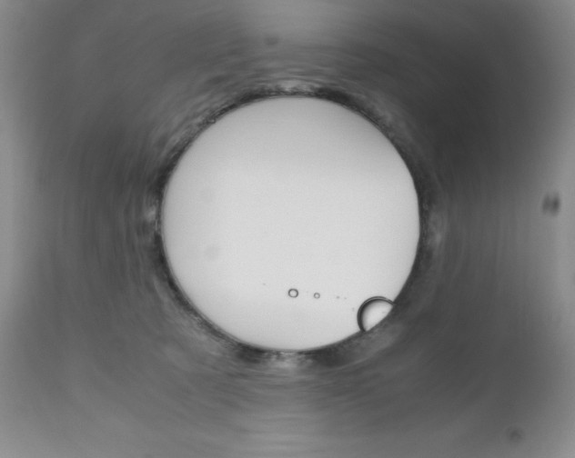 X0000111120321200906301047