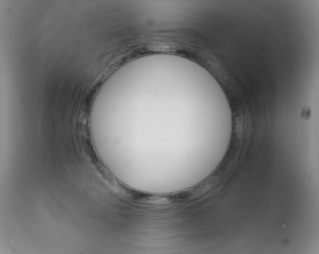 X0000111120322200906301047