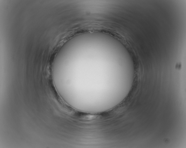 X0000111120323200906301047