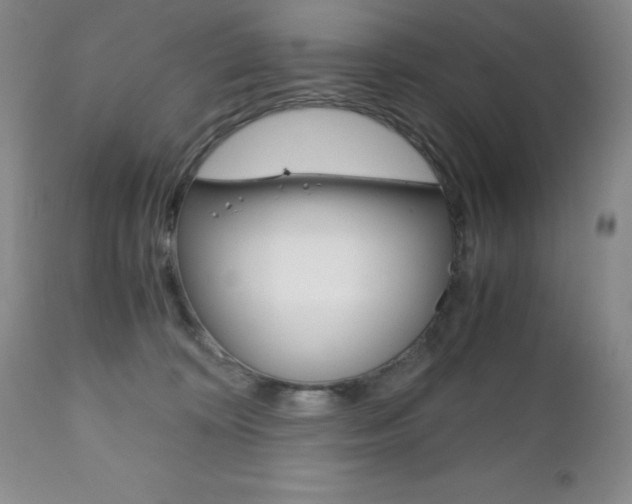 X0000111120324200906301047