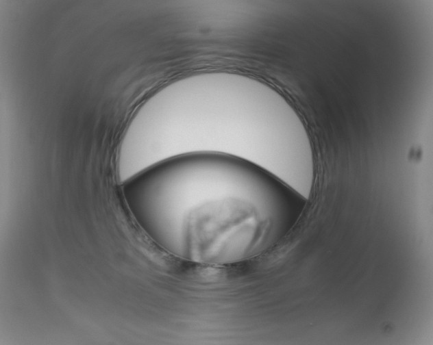X0000111120325200906301047