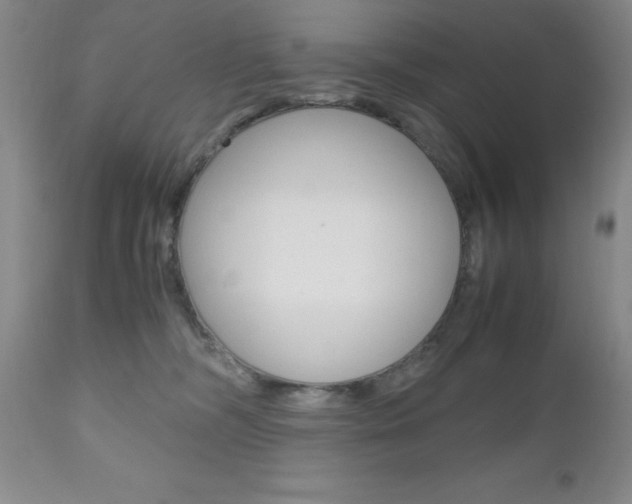 X0000111120326200906301047