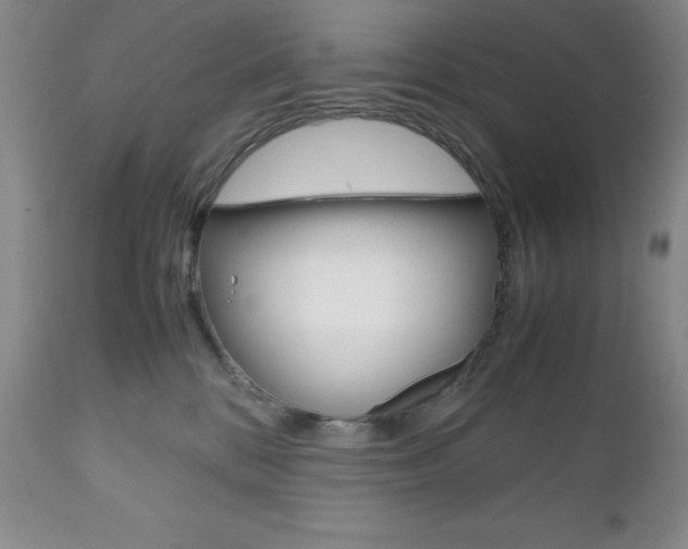 X0000111120328200906301047